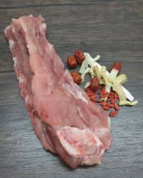 Spine Bone