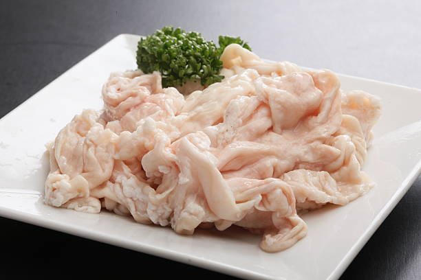 Pig Intestine
