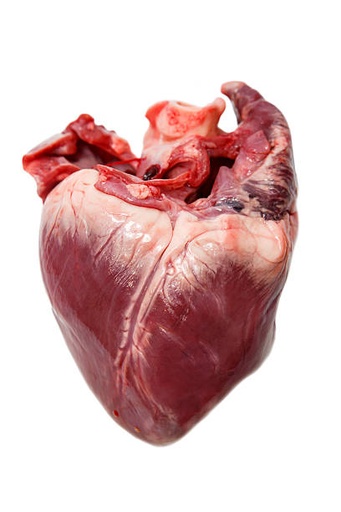 Pork Heart